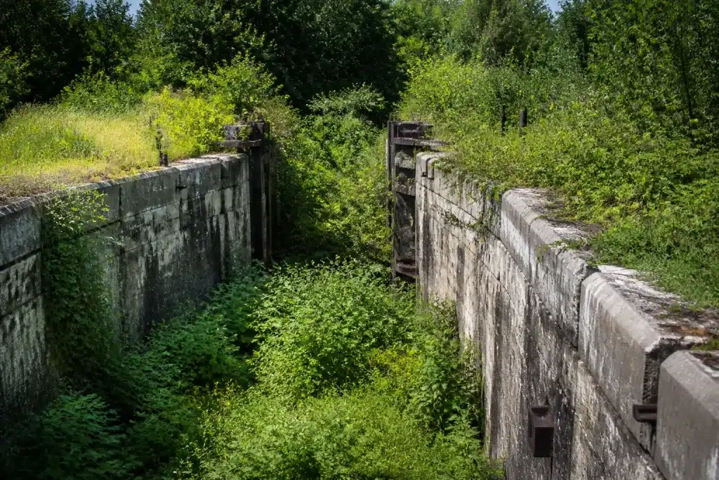 Ecluses en beton abandonnees au milieu vegetation