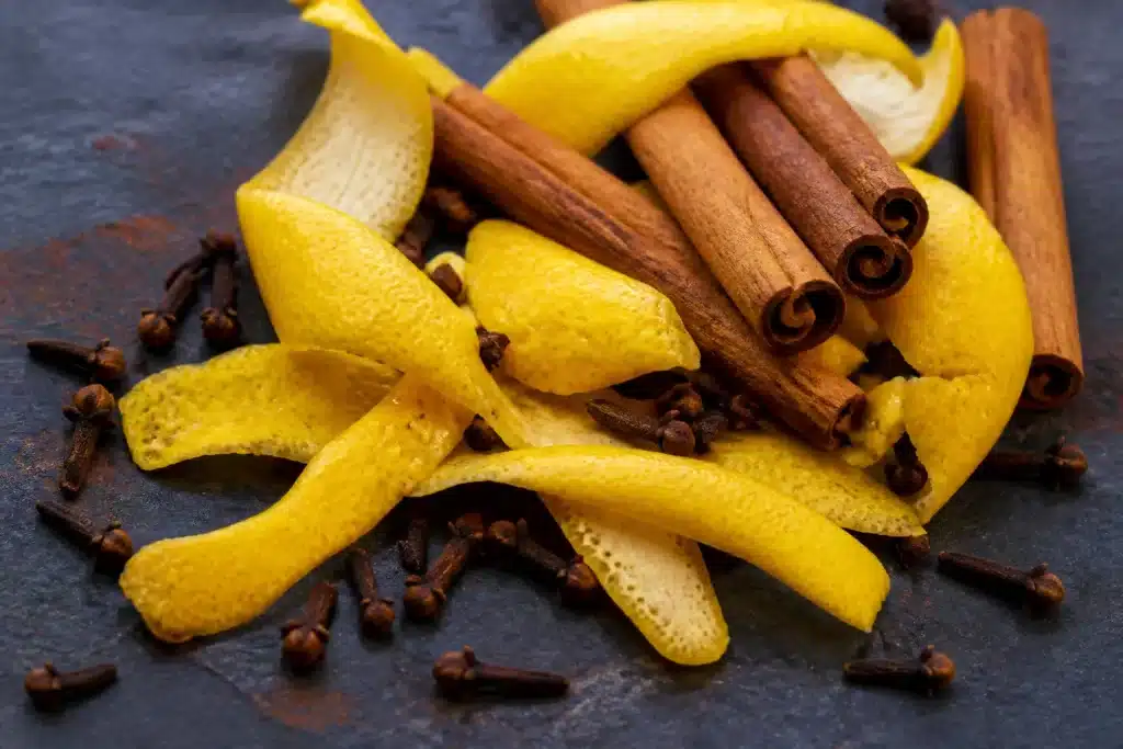 Ecorces de citron, bâtons de cannelle et clous de girofle éparpillés