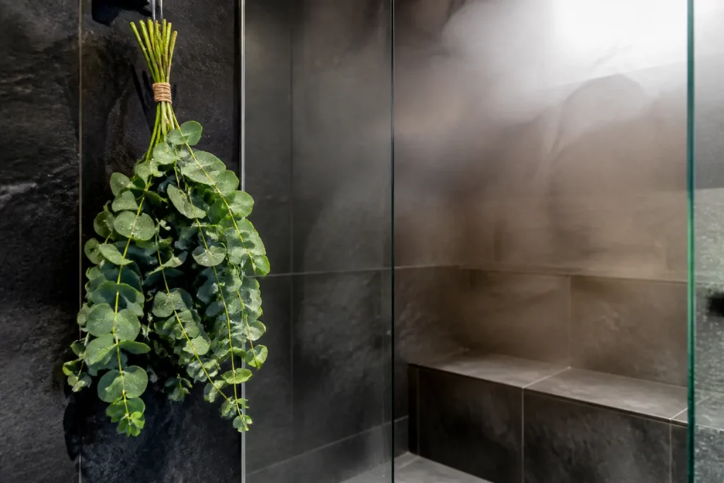 Branches eucalyptus salle bain vapeur chaude