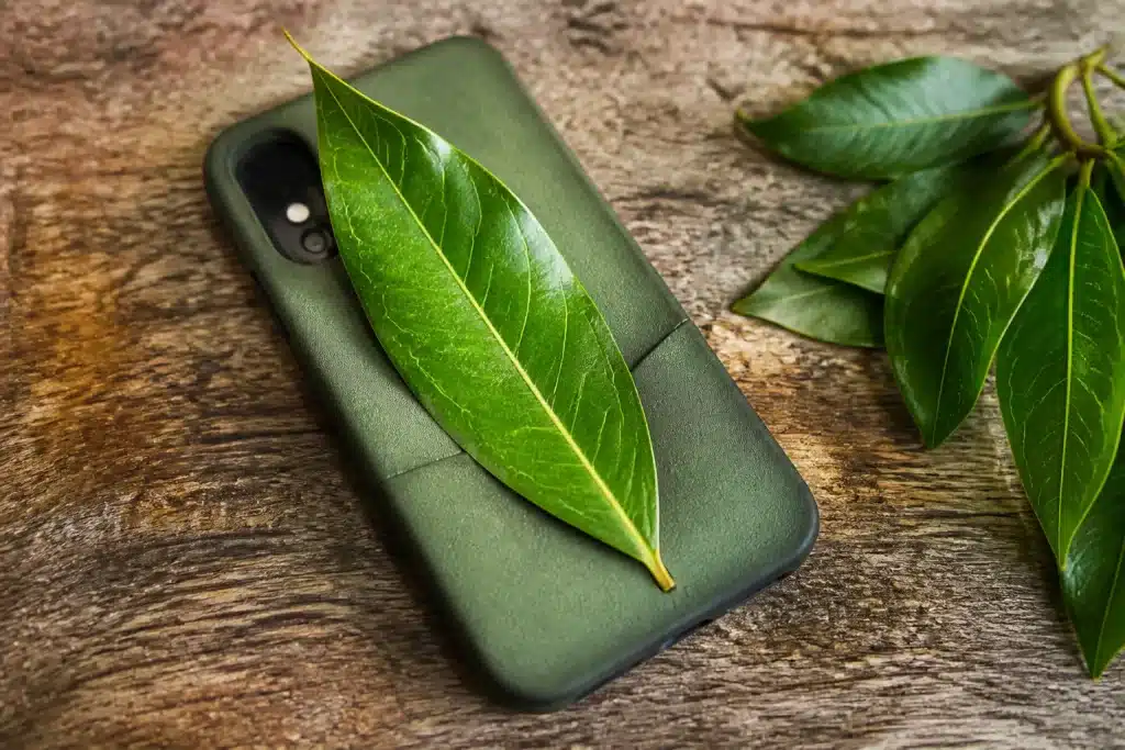 Feuille de laurier glissee dans coque telephone portable
