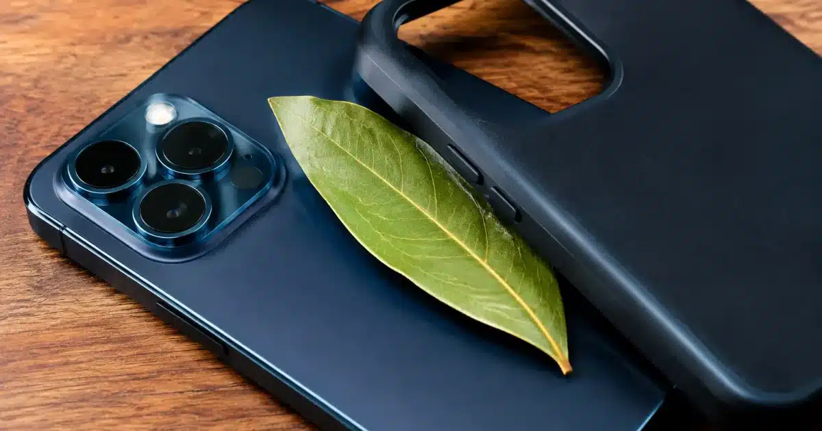 Feuille de laurier glissee entre telephone et etui de protection