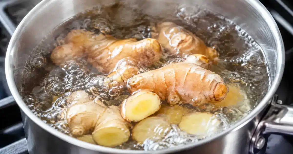 Racine de gingembre frais mijotant dans eau bouillante, casserole métallique
