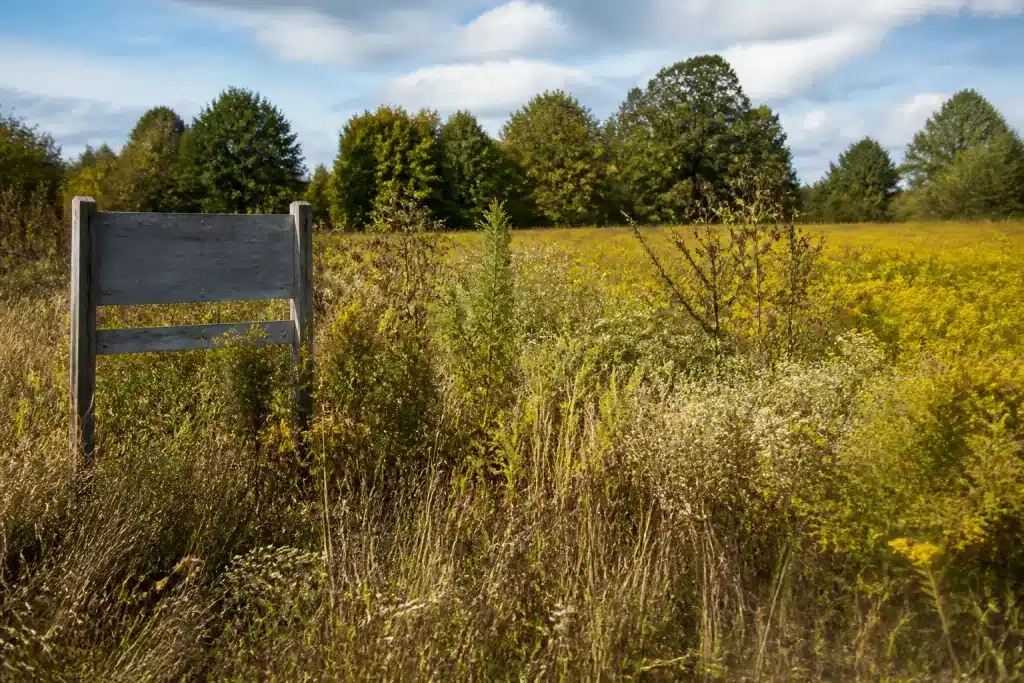 Champs abandonnés avec herbes sauvages et panneaux administratifs
