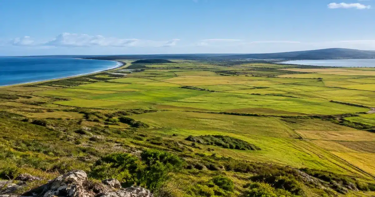 Vaste terrain agricole inexploité s'étendant à l'horizon entre deux régions côtières